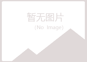 阿城夜山建设有限公司